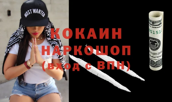 тгк Дмитров