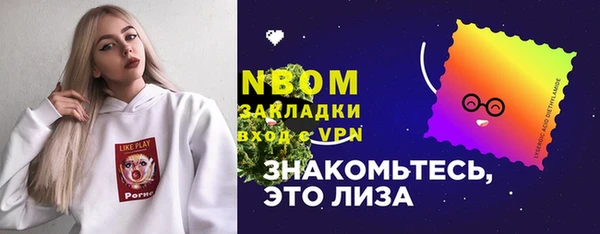 тгк Дмитров