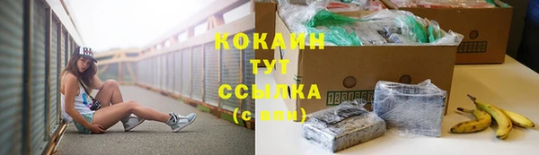 кокс Дмитриев