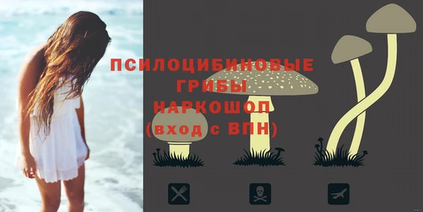 кокс Дмитриев