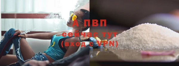 тгк Дмитров