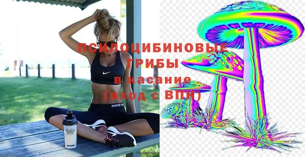 тгк Дмитров