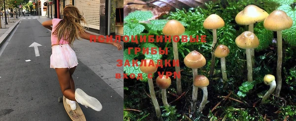 синтетический гашиш Дмитровск