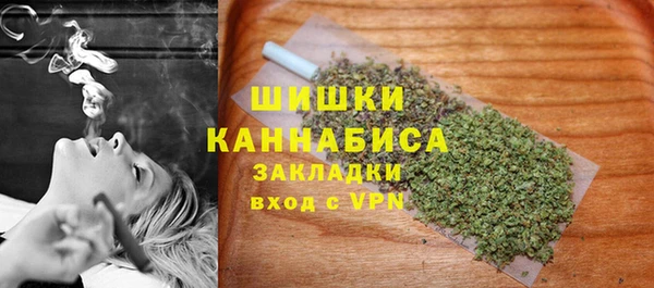 тгк Дмитров