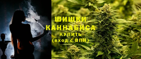 тгк Дмитров