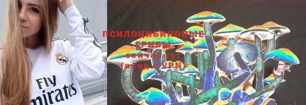 синтетический гашиш Дмитровск