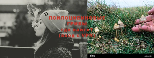 тгк Дмитров