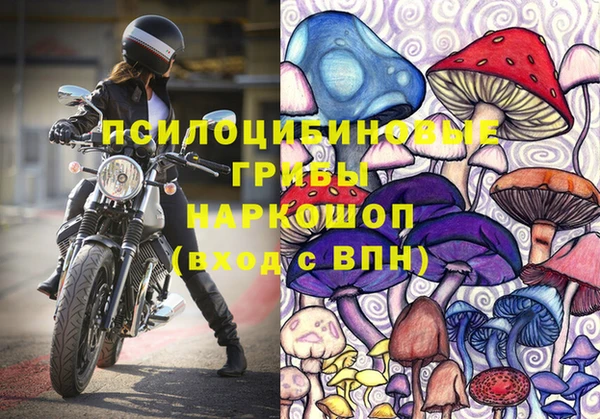 кокс Дмитриев