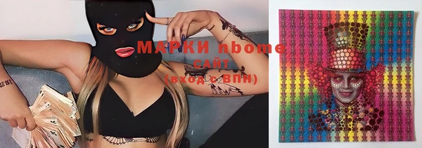тгк Дмитров