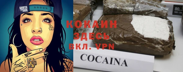 кокс Дмитриев