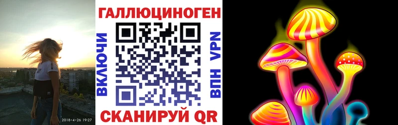 Купить где  Кропоткин  Галлюциногенные грибы Psilocybine cubensis 