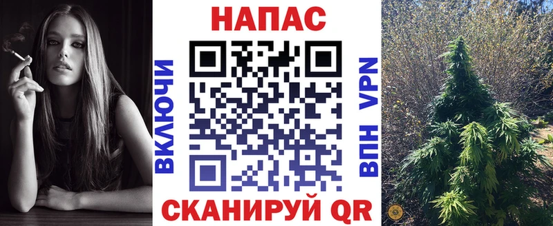 Конопля план Кропоткин